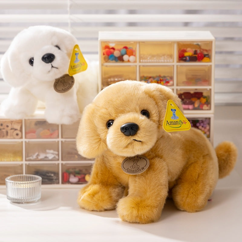 Golden Retriever Peluche Chien Blanc