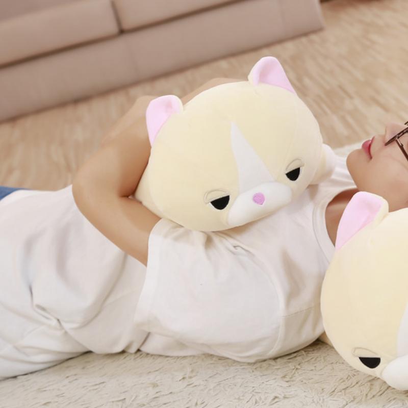 Peluche Chat Doux Cocooning Confort Maison