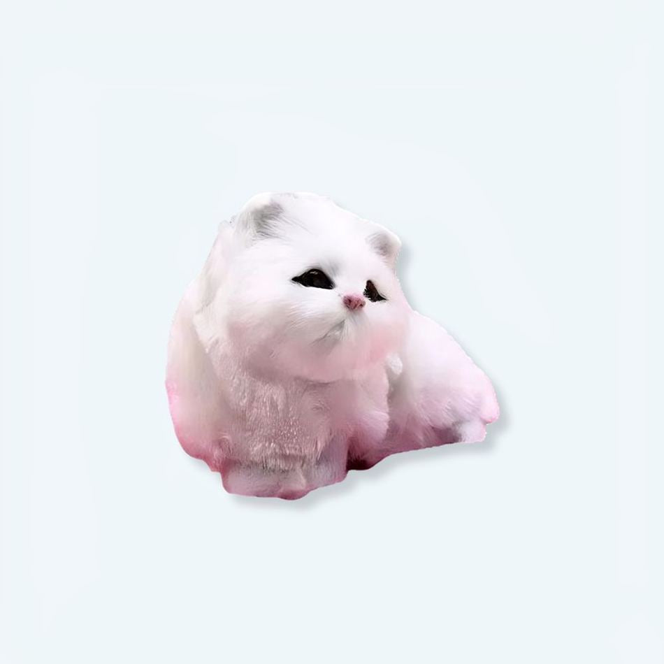 Peluche chat blanc doux câlin Câlins et Froufrous