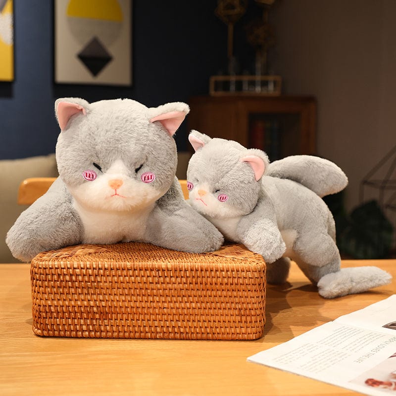 Peluche Chat-Requin