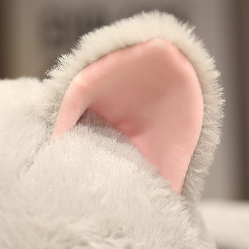 Peluche Chat-Requin