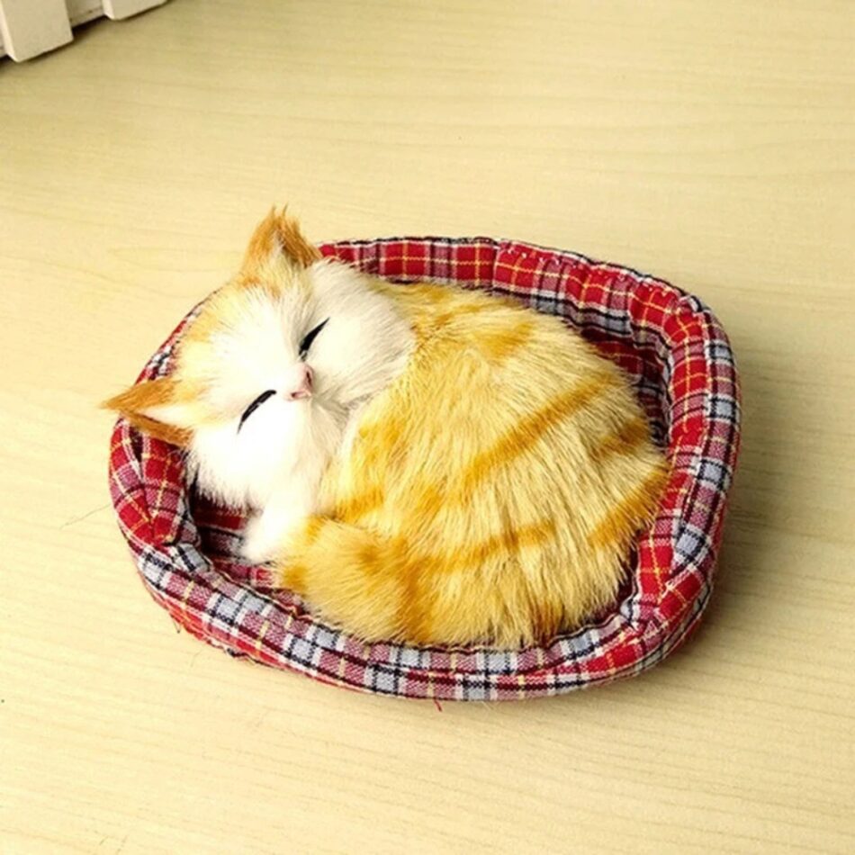 Peluche Chat Doux Endormi - Câlins Apaisants