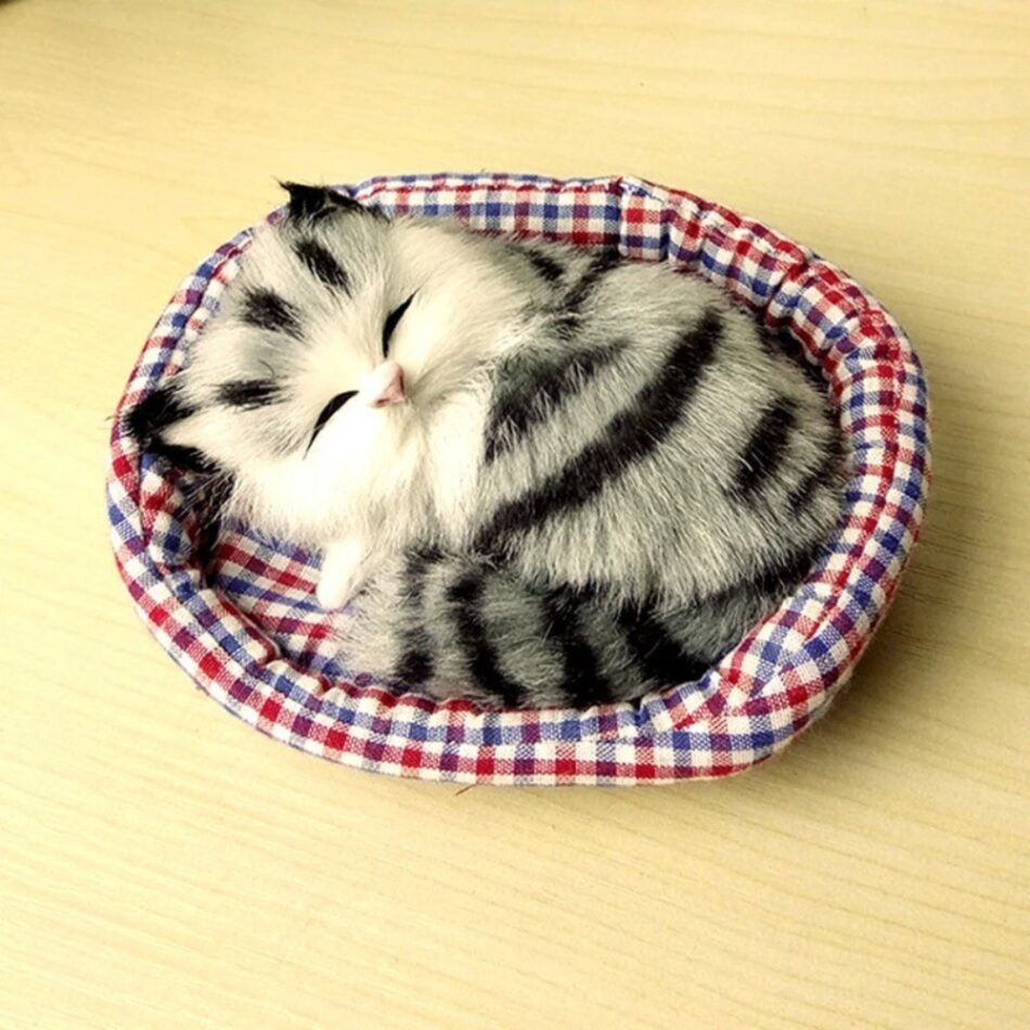 Peluche Chat Doux Endormi - Câlins Apaisants