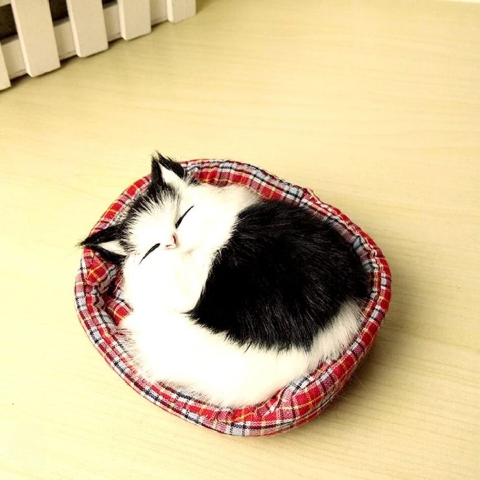 Peluche Chat Doux Endormi - Câlins Apaisants
