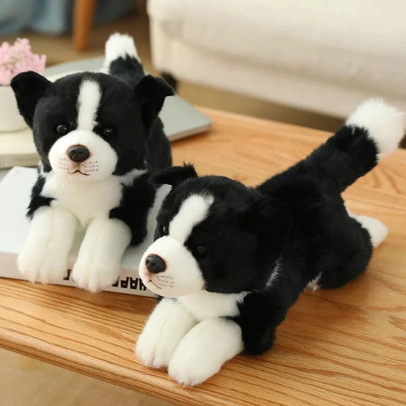 Peluche Border Collie Chien