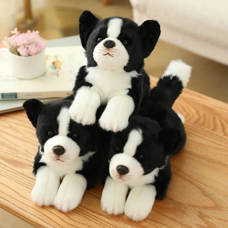 Peluche Border Collie Chien