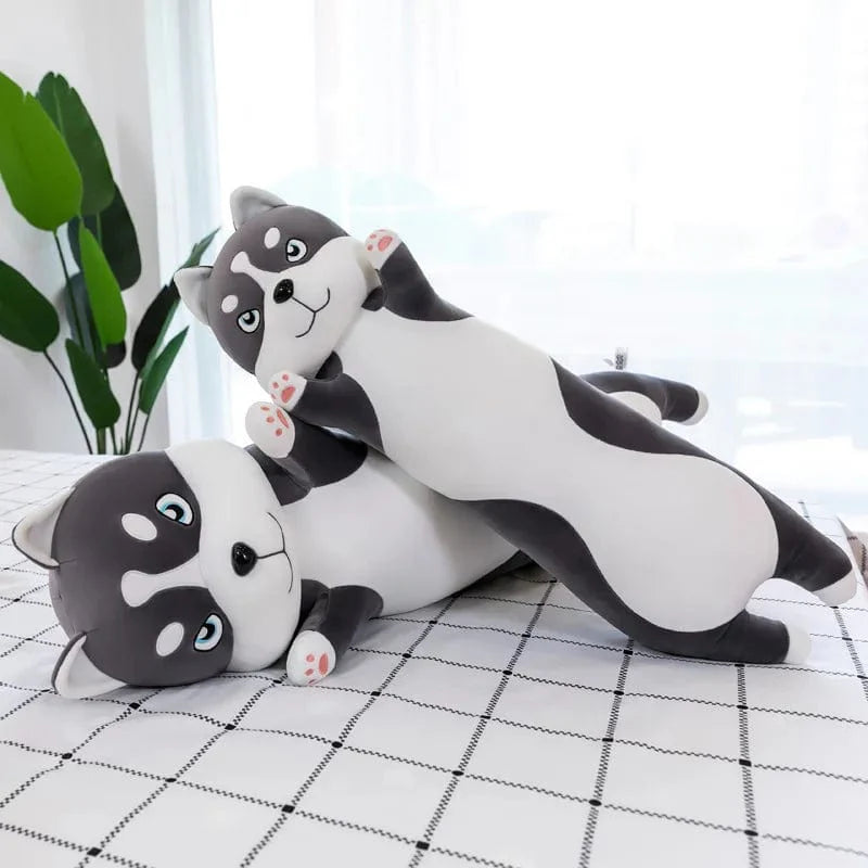 Peluche chien husky - Câlins tout doux