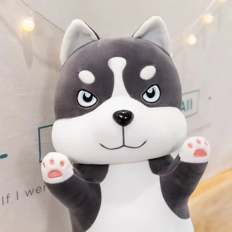 Peluche chien husky - Câlins tout doux
