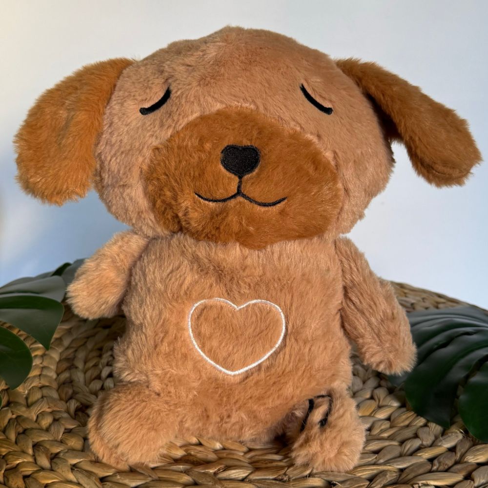 Peluche chien veilleuse pour une nuit douce et apaisante pour enfant.