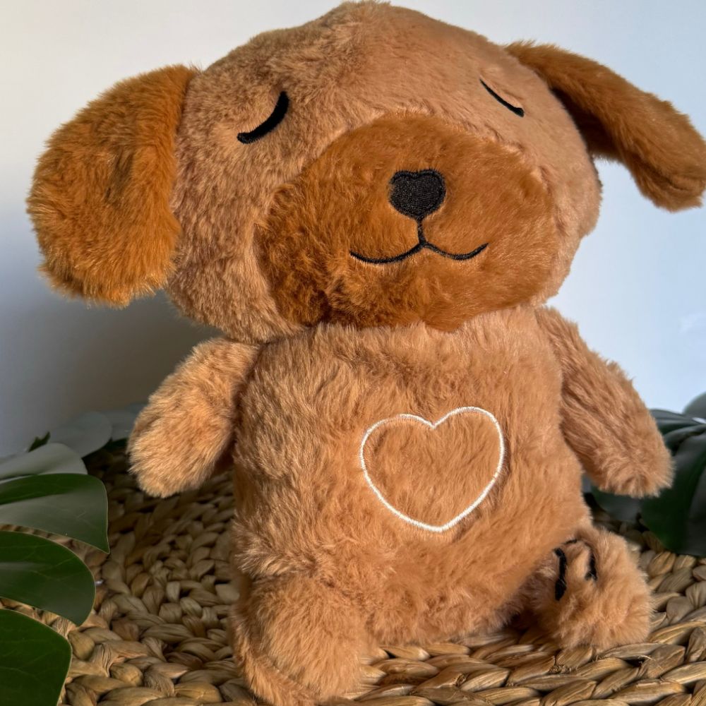 Peluche chien veilleuse pour une nuit douce et apaisante pour enfant.