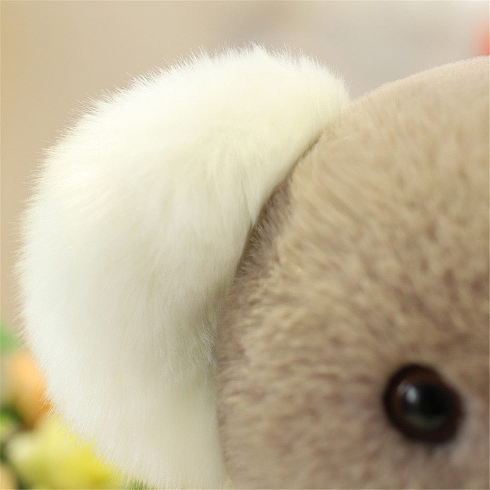 Peluche Koala Mignon avec Grandes Oreilles.