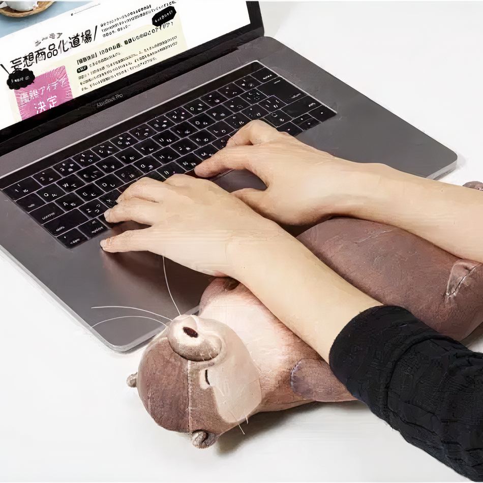 Peluche Loutre - Trousse Douce pour Enfant, Cadeau Original