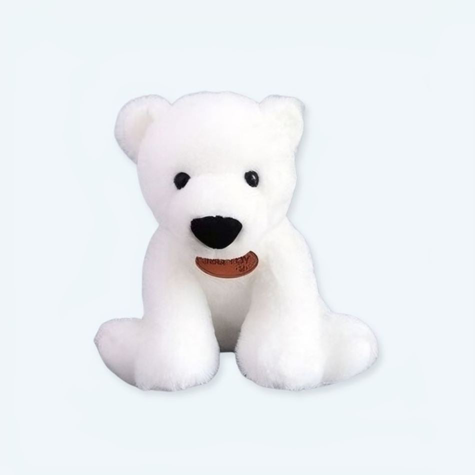 Peluche Ours Câlin Ultra Moelleux pour Enfant - Chambre Douceur