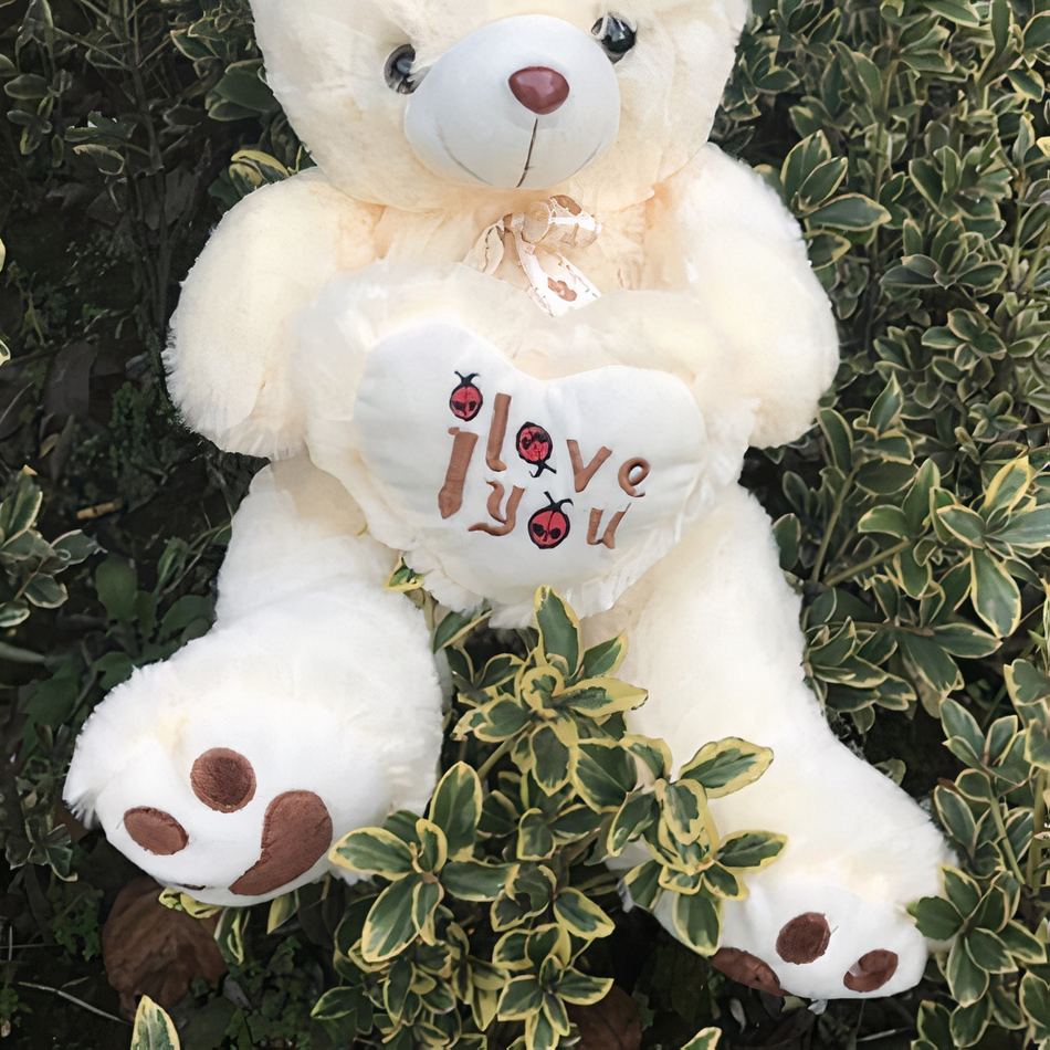 Peluche Ours Doux Câlin pour Enfant Poilu