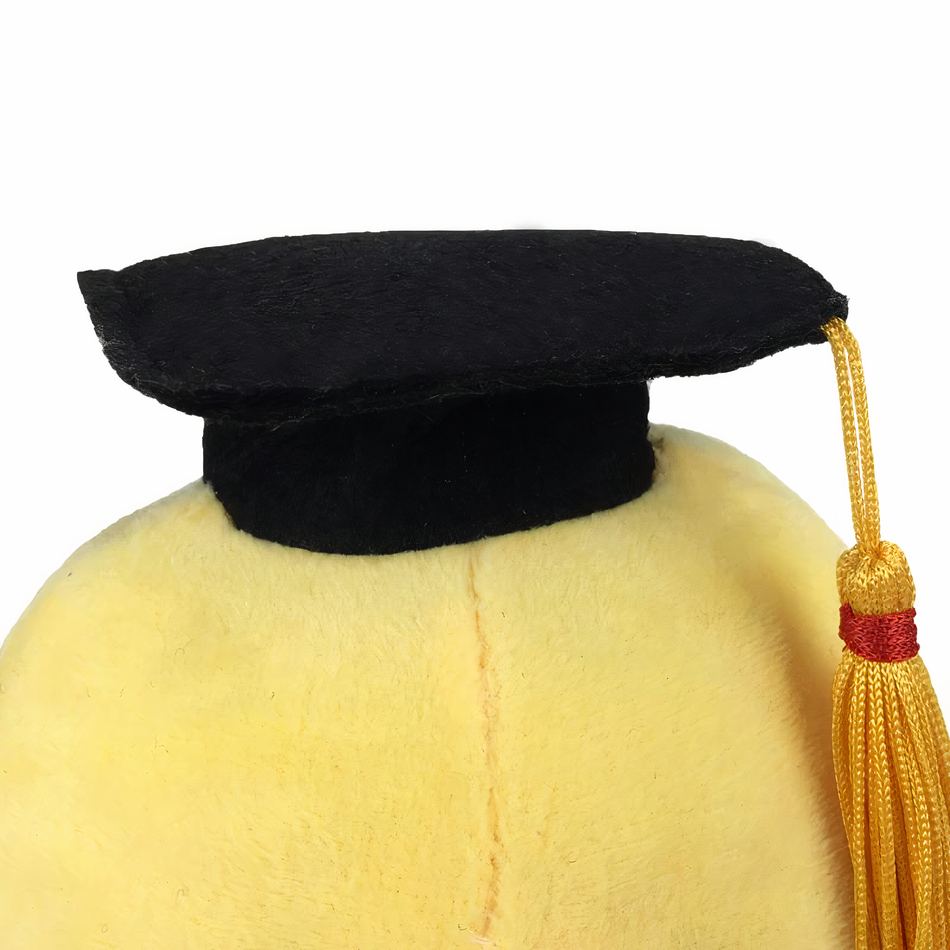 Peluche pieuvre diplômée - Cadeau et tout doux