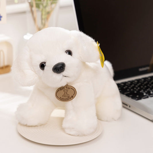 Golden Retriever Peluche Chien Blanc