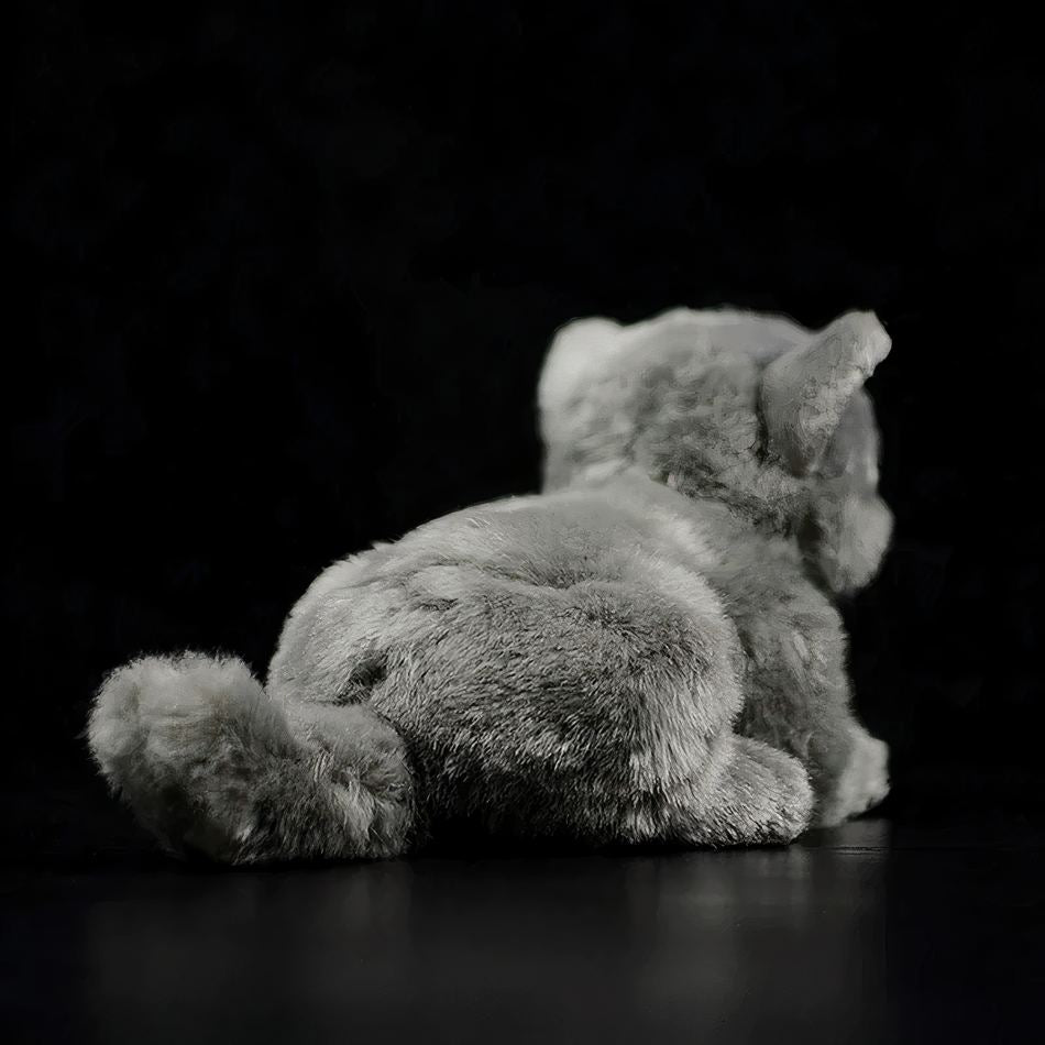 Chaton en peluche britannique gris - Câlin et Doux