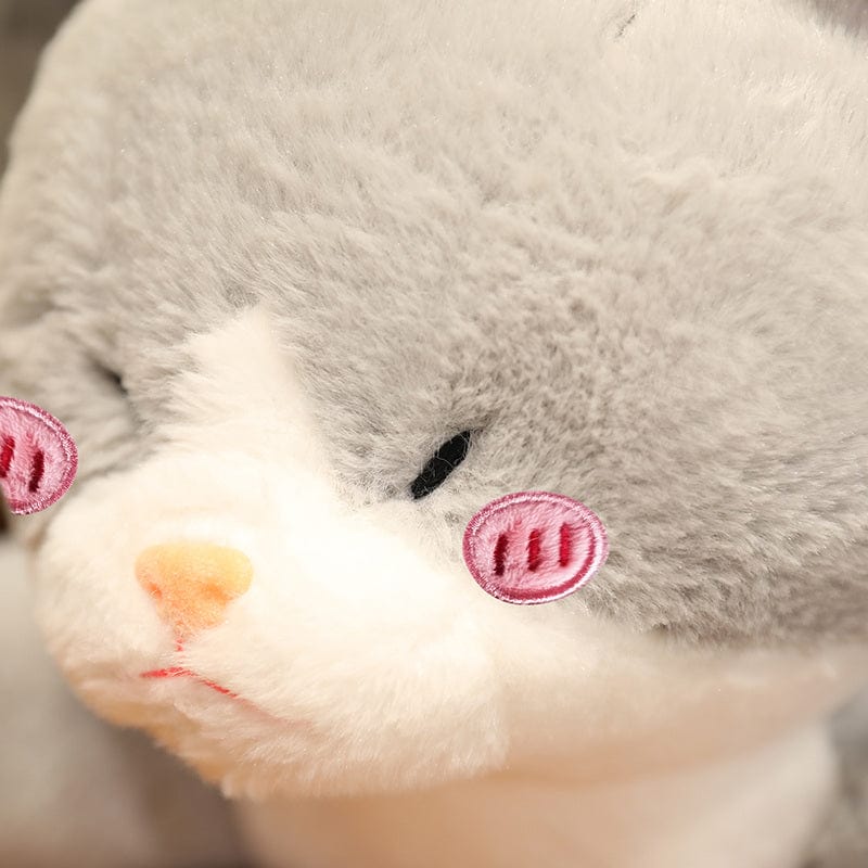 Peluche Chat-Requin
