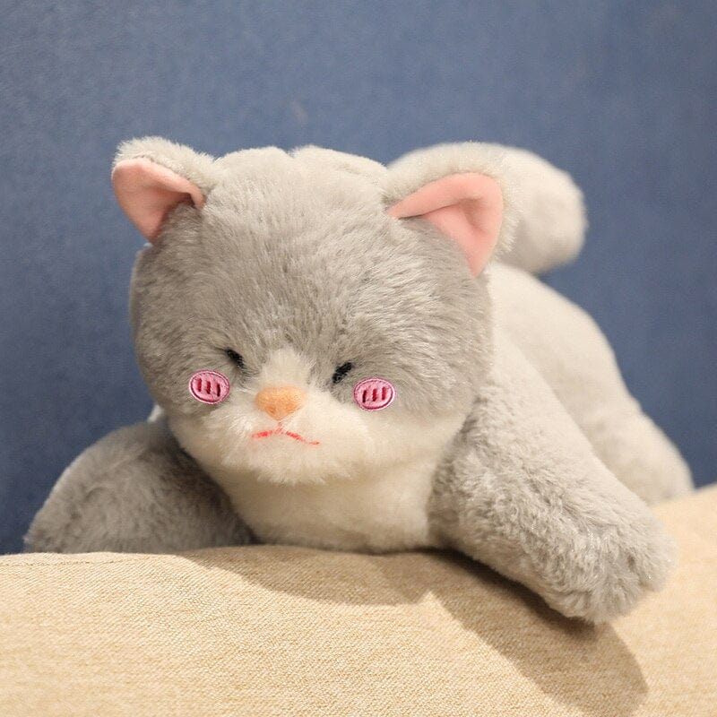 Peluche Chat-Requin