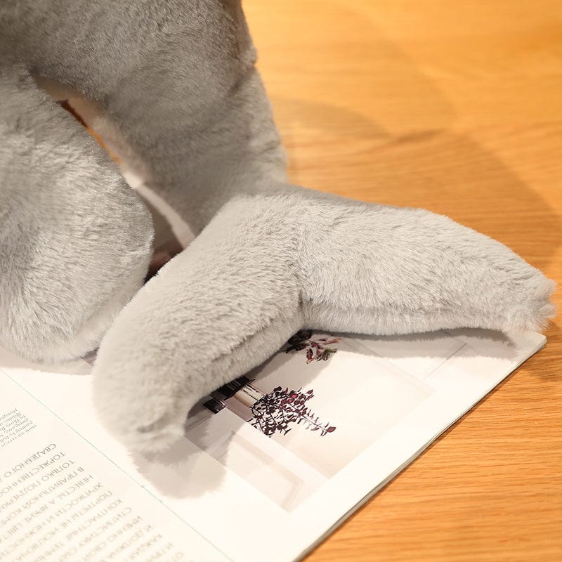 Peluche Chat-Requin