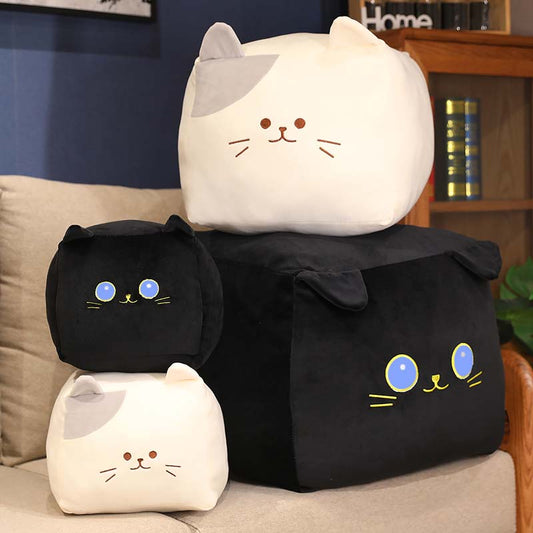 Peluche Chat-Box