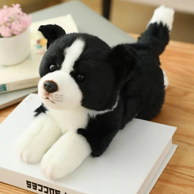 Peluche Border Collie Chien