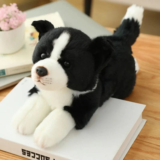 Peluche Border Collie Chien