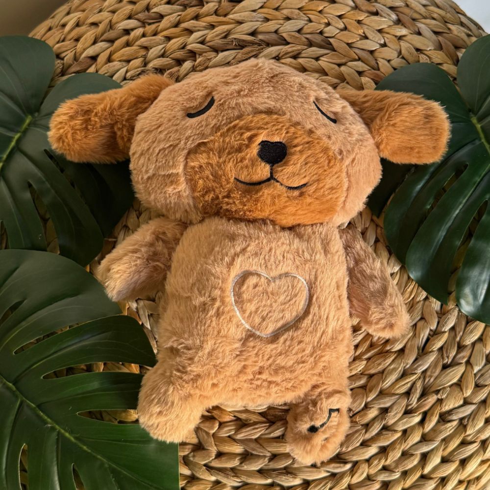 Peluche chien veilleuse pour une nuit douce et apaisante pour enfant.