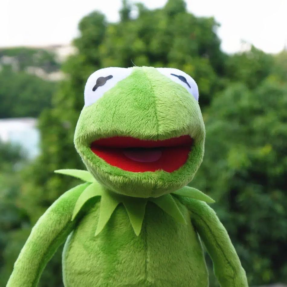Peluche grenouille Kermit verte douce pour câliner
