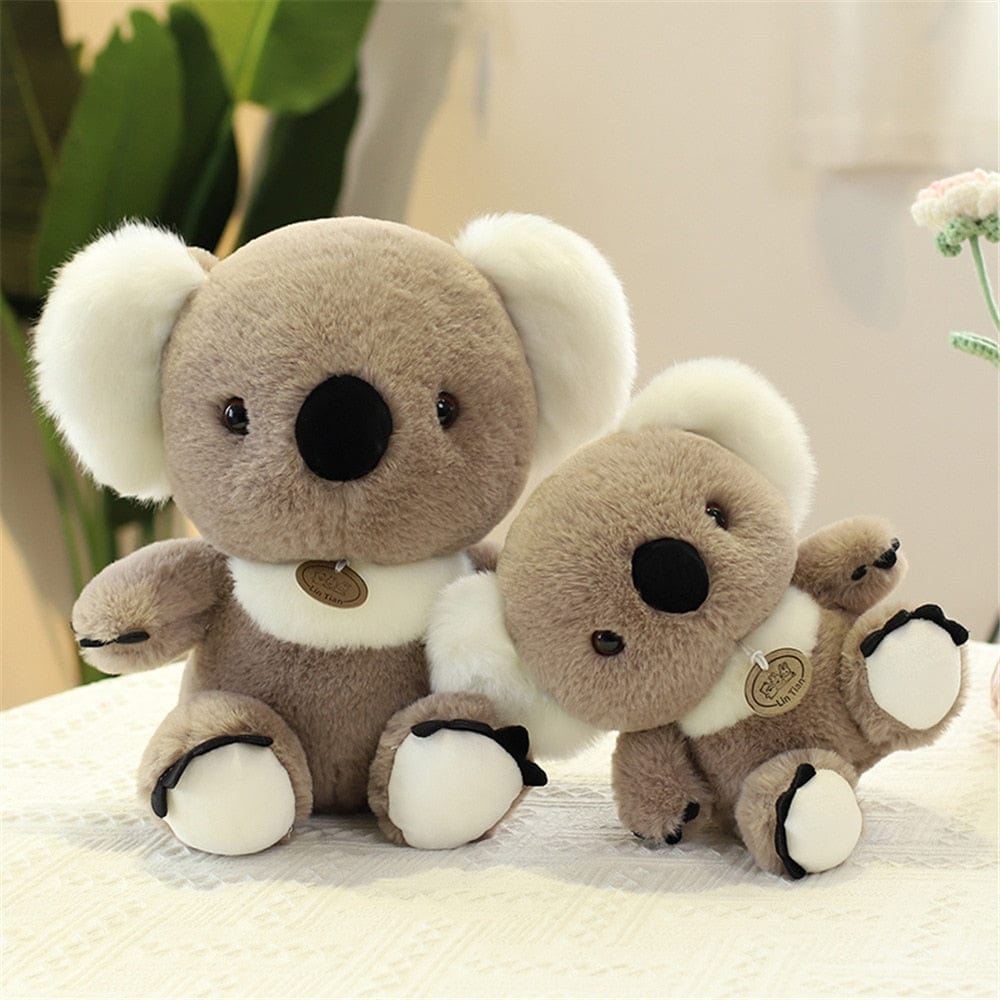 Peluche Koala Mignon avec Grandes Oreilles.
