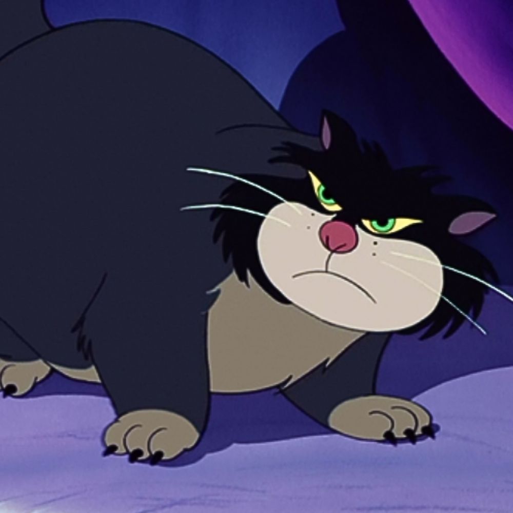 Peluche Lucifer - Chat Musical Doux et Apaisant