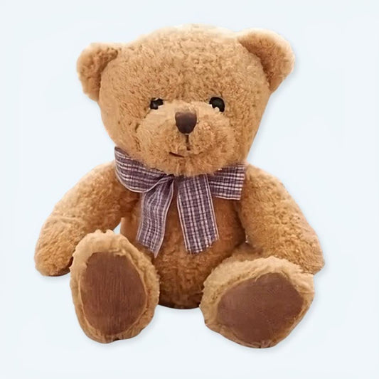 Peluche Ours Câlin Doux pour Enfants